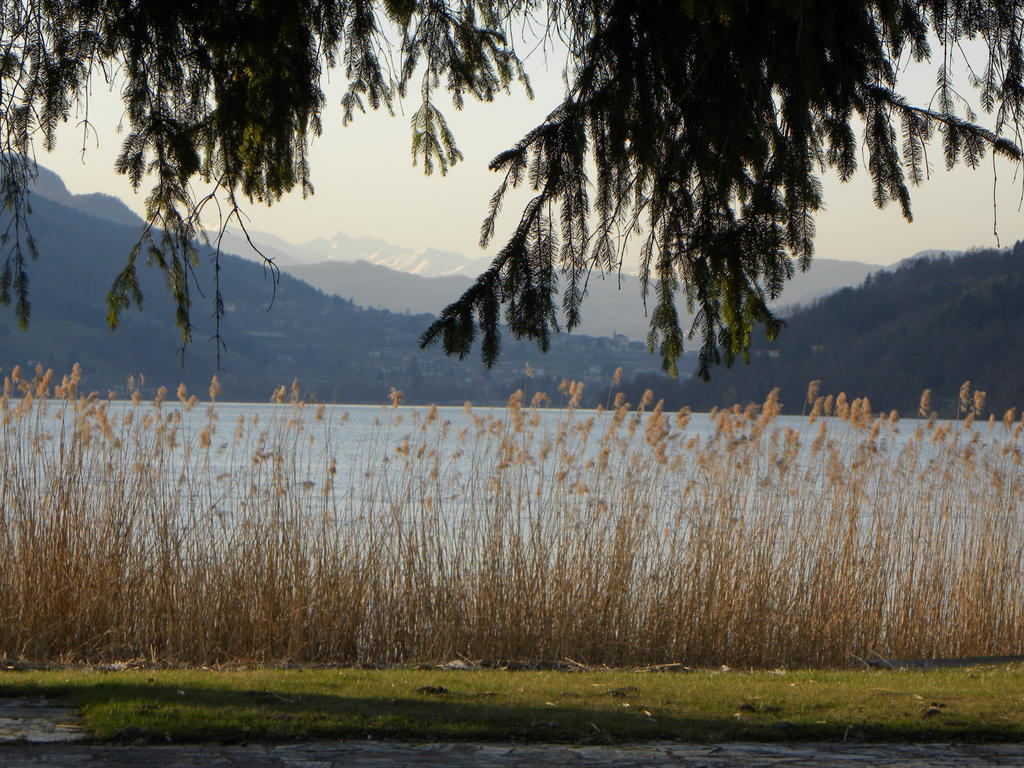 Apartamento Casa De Val Calceranica al Lago Exterior foto